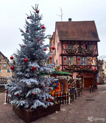 colmar29