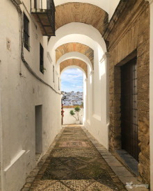 vejer13