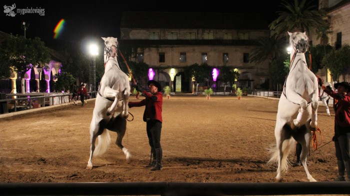 caballo andaluz
