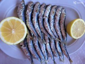 espetos sardinas malaga
