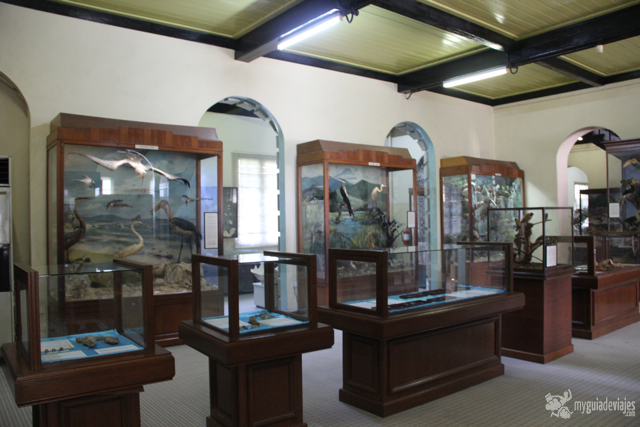 museo sarawak