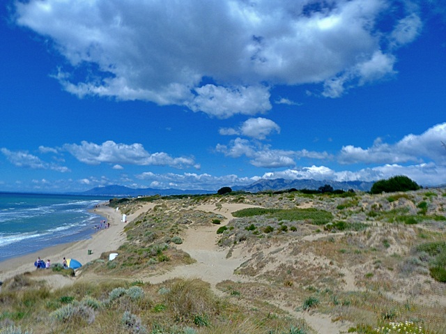 Playa-y-Dunas-Artola-Cabopino-Marbella