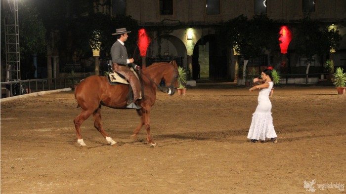 pasion y duende del caballo andaluz