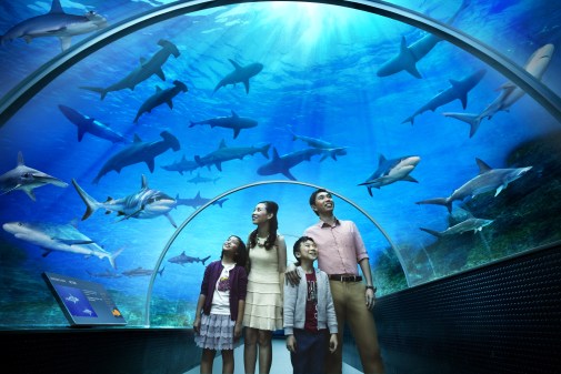 El acuario más grande del mundo, Singapur