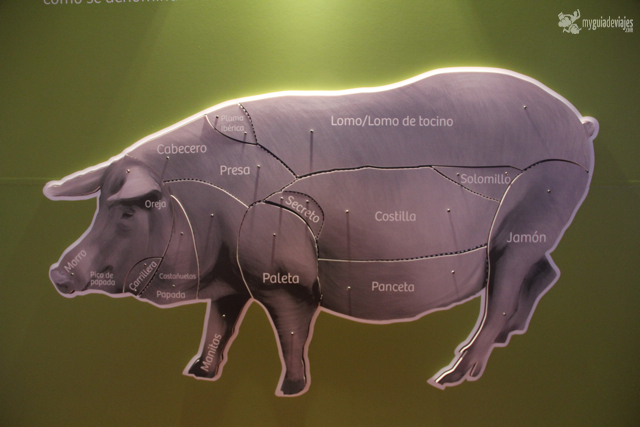 centro de interpretacion del cerdo iberico higuera la real 