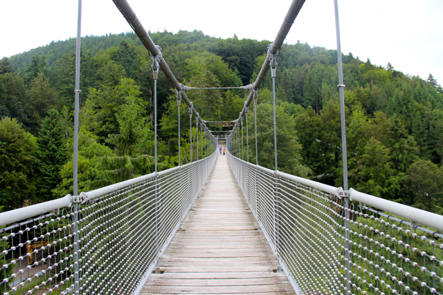 puente colgante steinwasen park