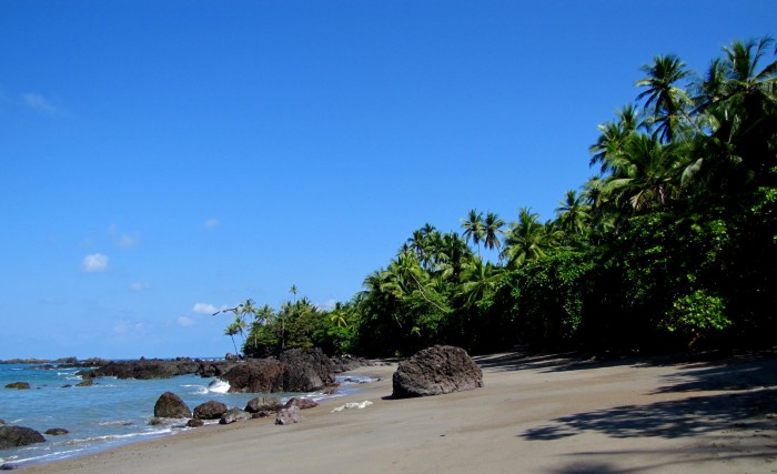 P N Corcovado Costa Rica. Imagen de wikipedia