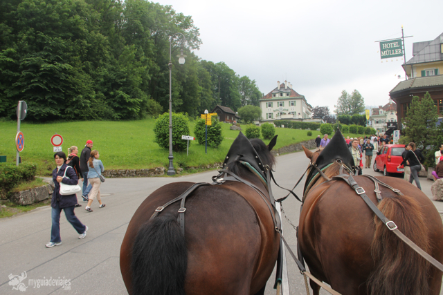 caballos castillo de Neuschwanstein 