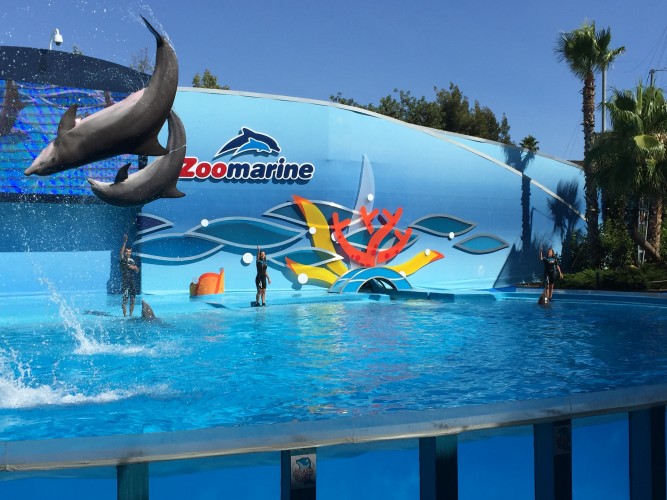 delfines zoomarine