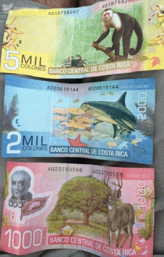 Los billetes de Costa Rica son así de coloridos y salvajes. 