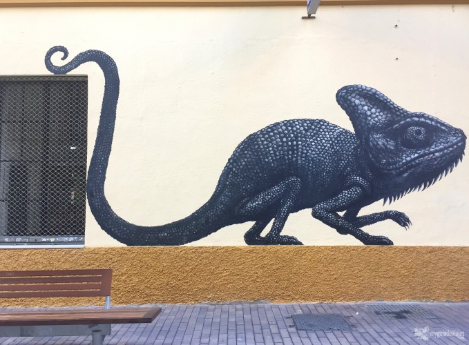 Camaleón en calle Casas de Campos
