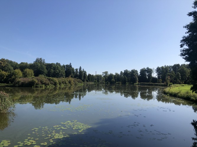 lago bialowieza