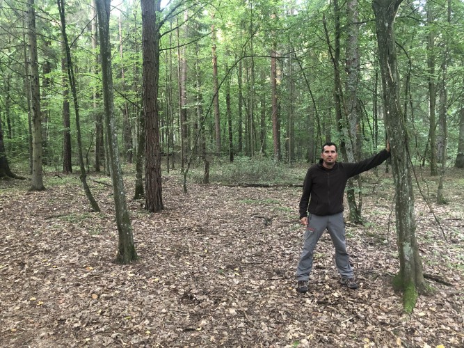 El bosque mágico de Bialowieza. 