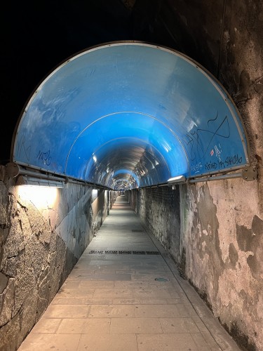 Túnel peatonal para llegar a Riomaggiore desde el tren. 